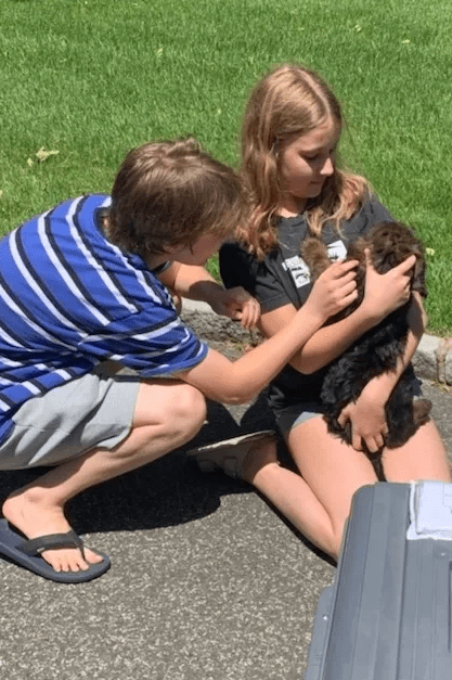 Kids With Dog